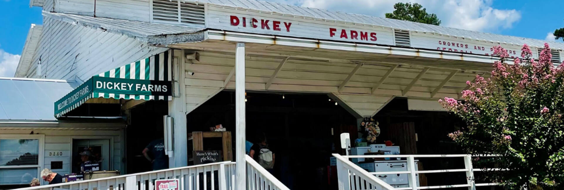 Welcome to Dickey Farms